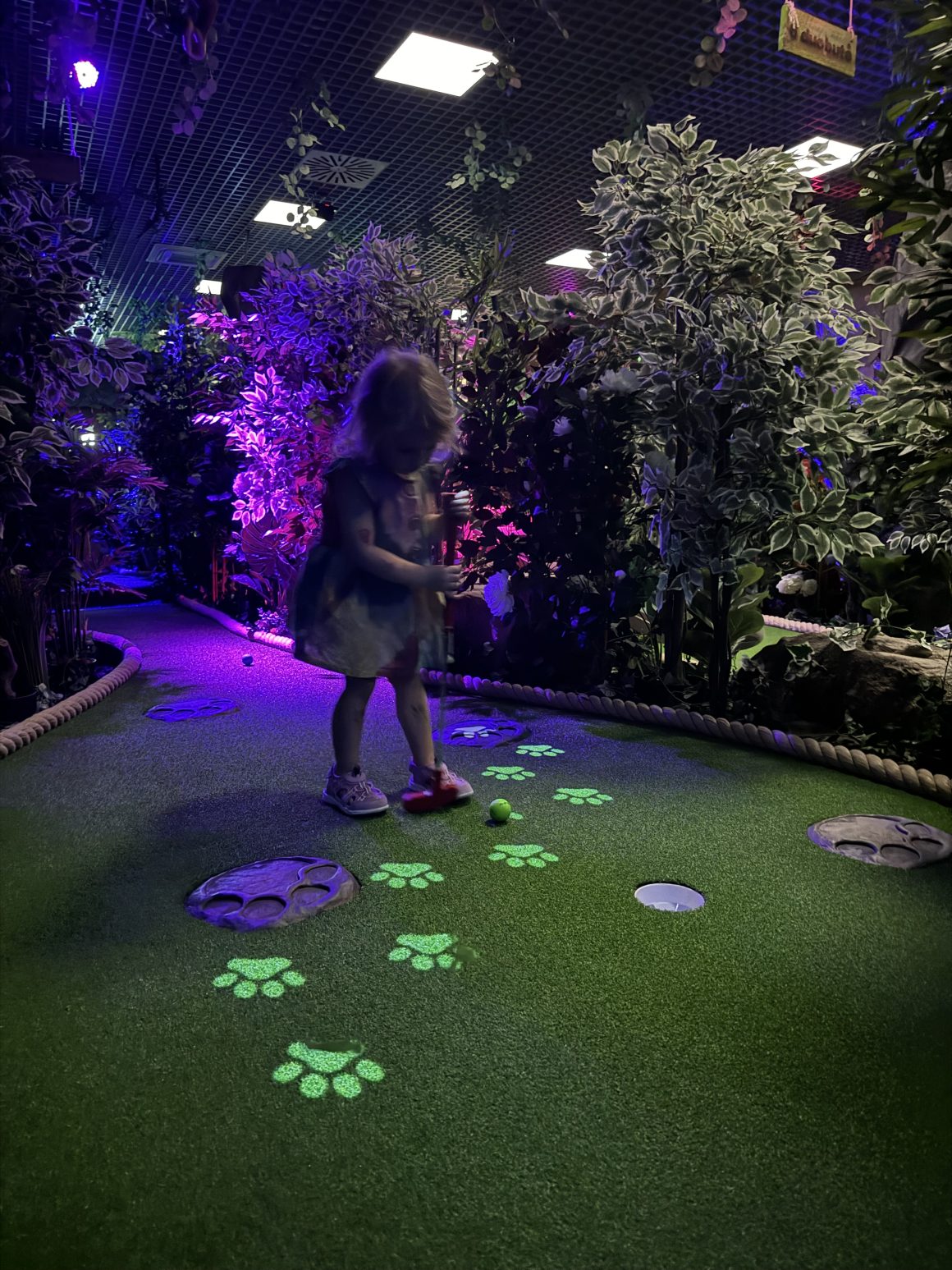 Mini golfas Kaune