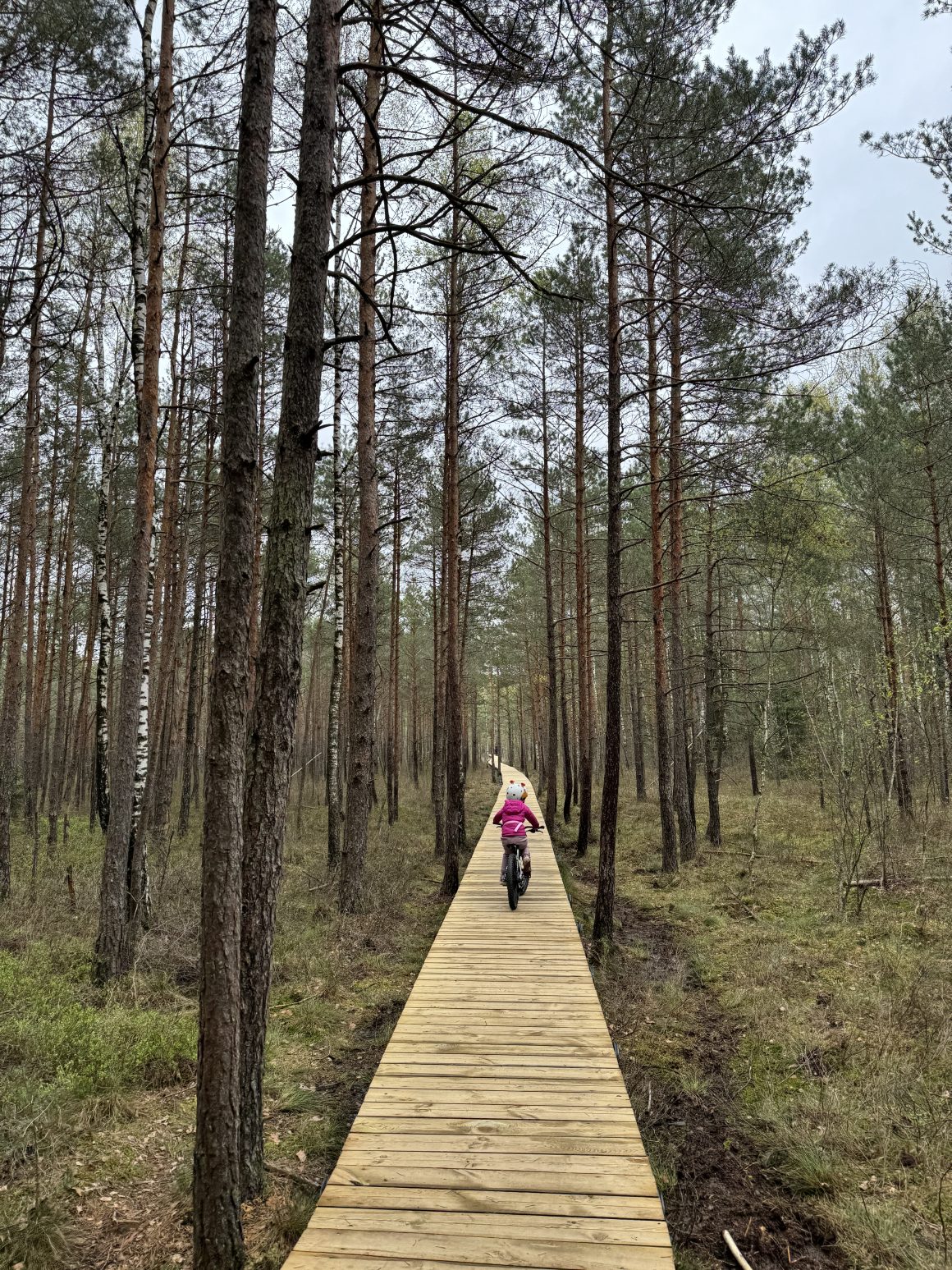 Varnikų pažintinis takas