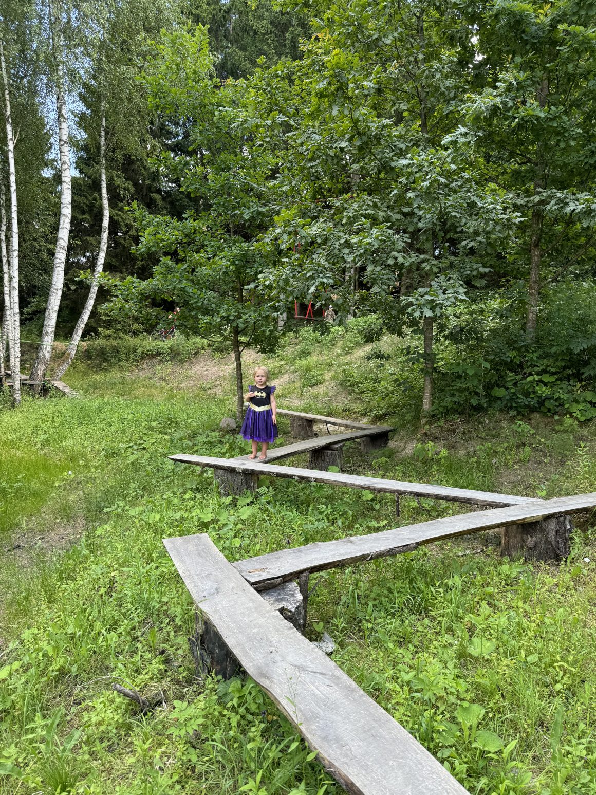 namelių medžiuose parkas Sudervėje