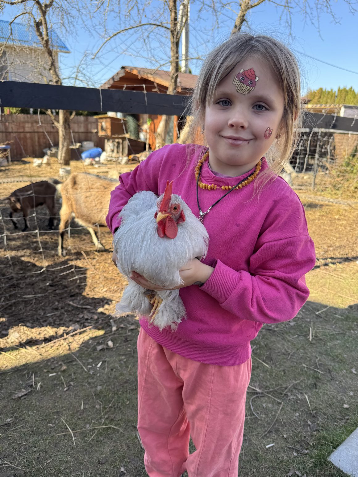 sostinės mini ferma
