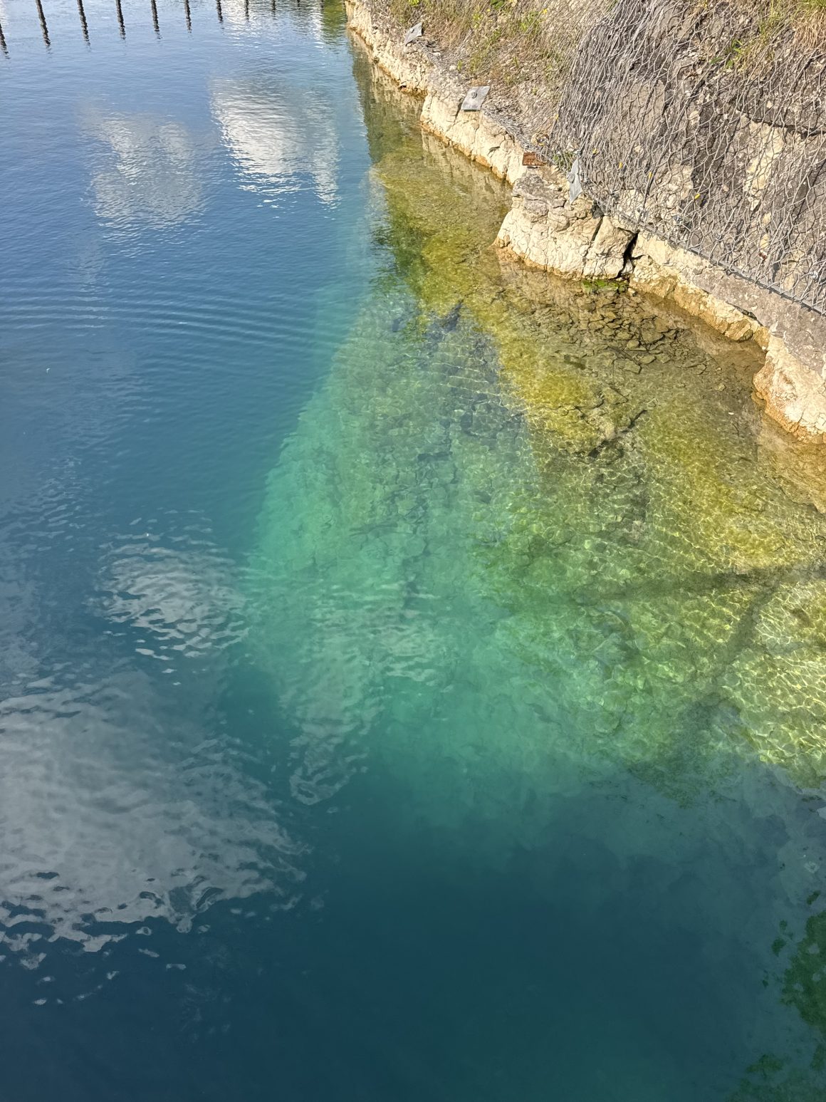 baseinai Krokuva
