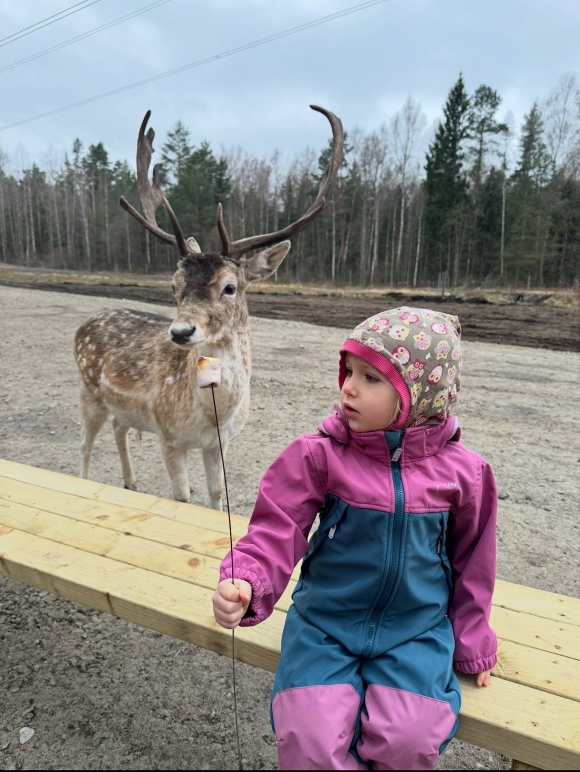 Kalėdos su vaikais Perlinių danielių parke