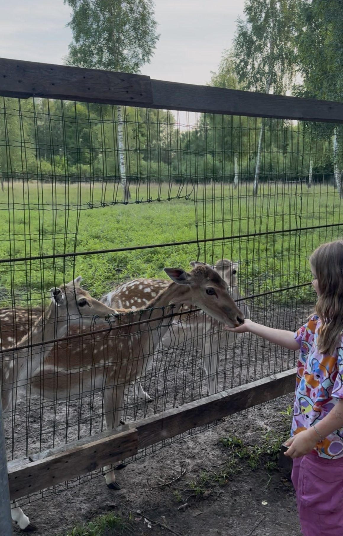 Žiegždrių pažintinis takas 
Nemokami perliniai danieliai
